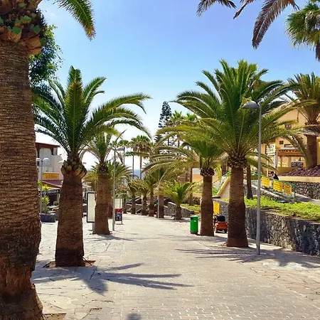 Enjoyable Sea View From Terrace In Las Americas * بلايا ذي لاس أميريكاس